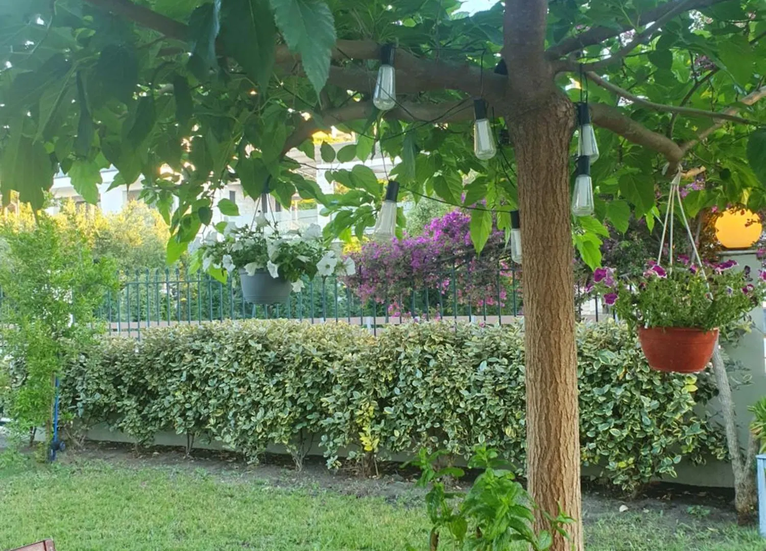 Aparthotel Athos Mare Holiday Studios Pefkochori